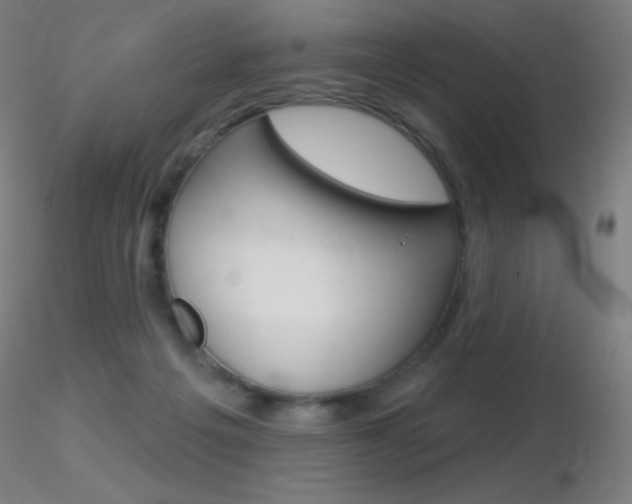 X0000116790217200912181102