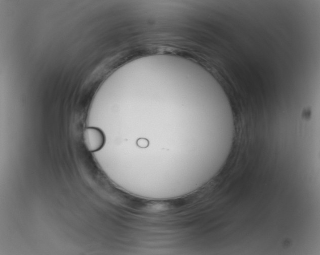 X0000116790218200912181102