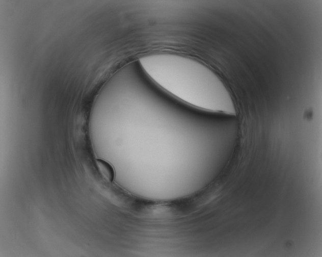 X0000116790219200912181102