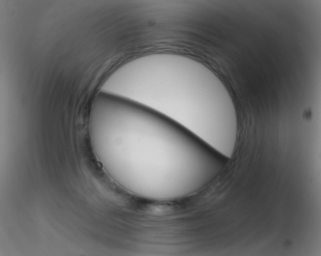 X0000116790220200912181102