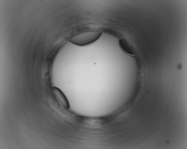 X0000116790221200912181102