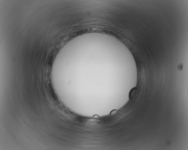X0000116790222200912181102