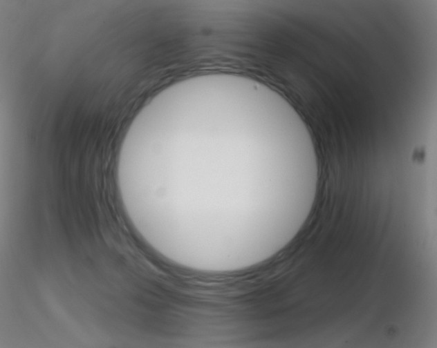 X0000116790223200912181102