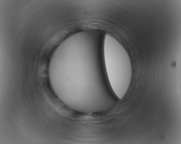 X0000116790224200912181102