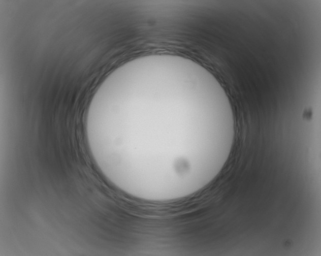 X0000116790225200912181102