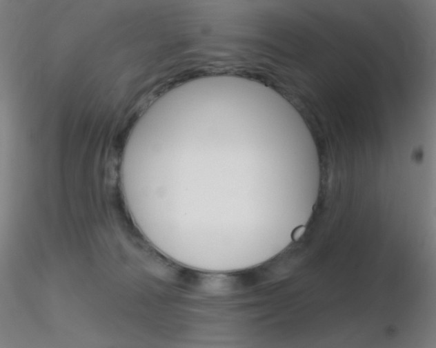 X0000116790226200912181102