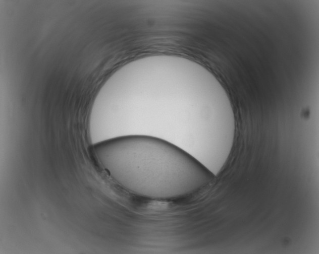 X0000116790227200912181102