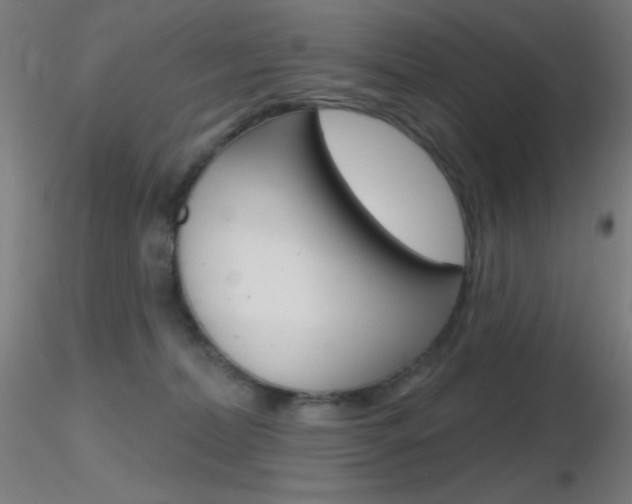 X0000116790228200912181102