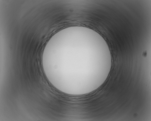 X0000116790229200912181102
