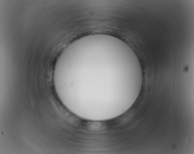 X0000116790230200912181102
