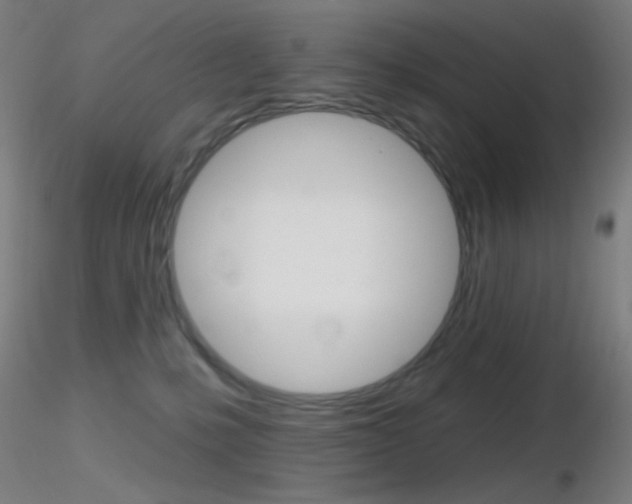 X0000116790231200912181102