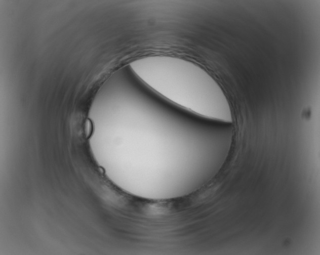 X0000116790232200912181102
