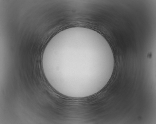 X0000116790233200912181102