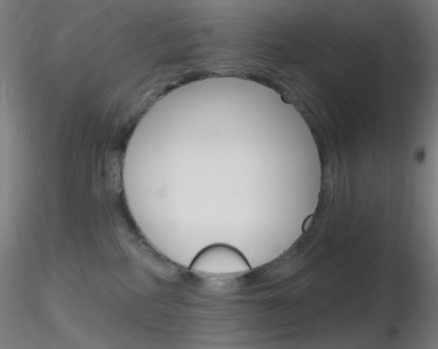 X0000116790234200912181102