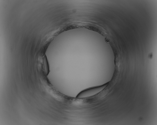 X0000116790235200912181102