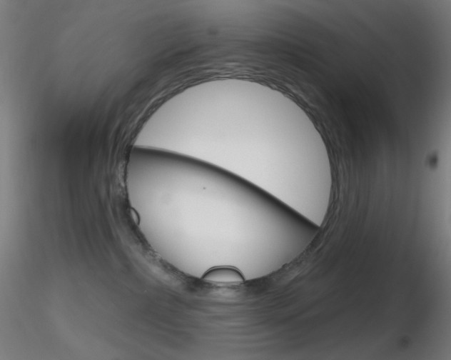 X0000116790236200912181102