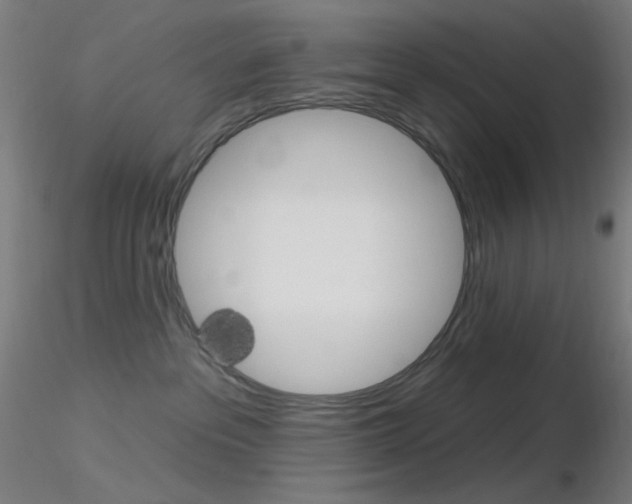 X0000116790237200912181102