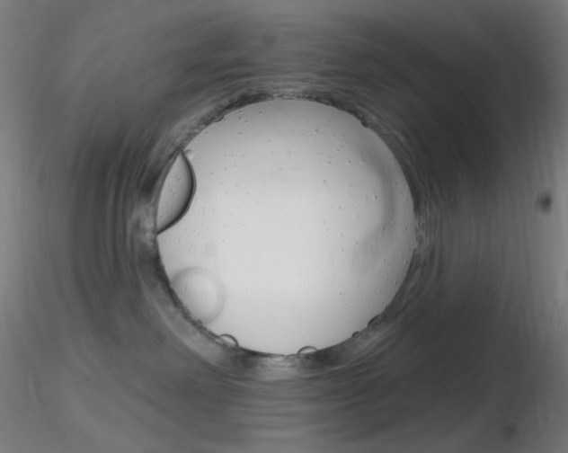 X0000116790238200912181102