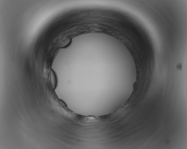 X0000116790239200912181102