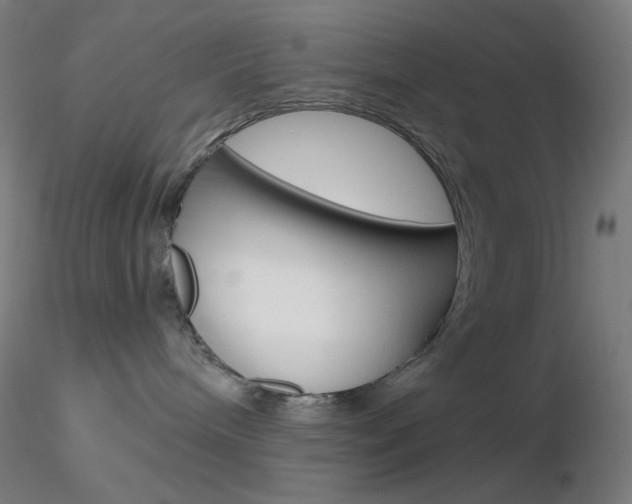 X0000116790240200912181102