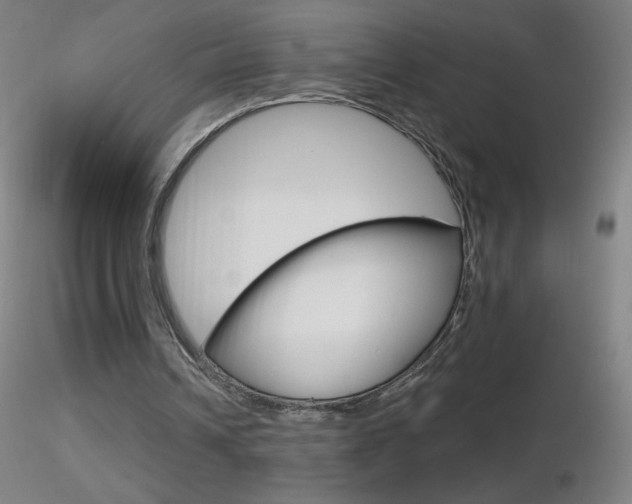 X0000116790242200912181101