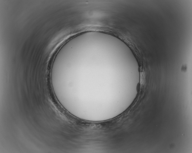 X0000116790243200912181101