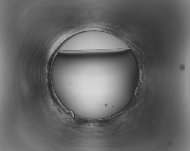 X0000116790244200912181101