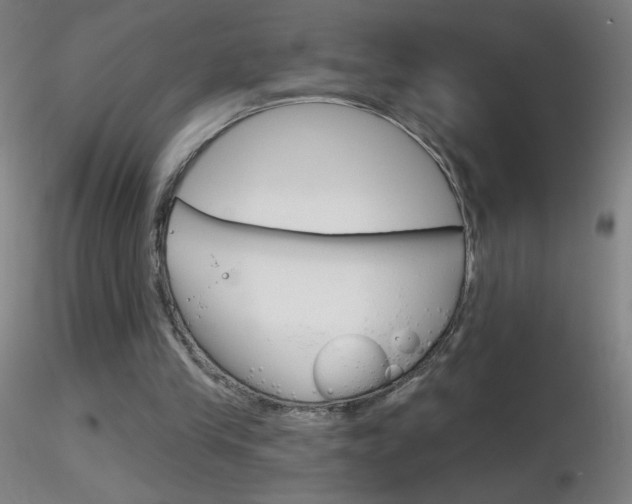 X0000116790245200912181101