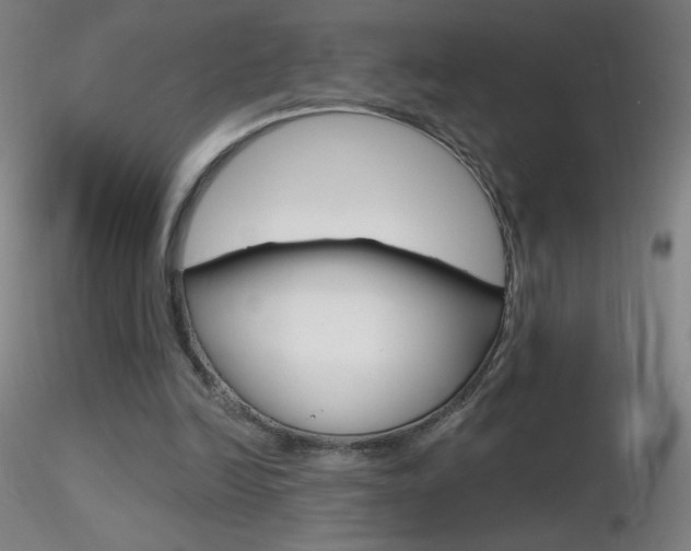 X0000116790246200912181101