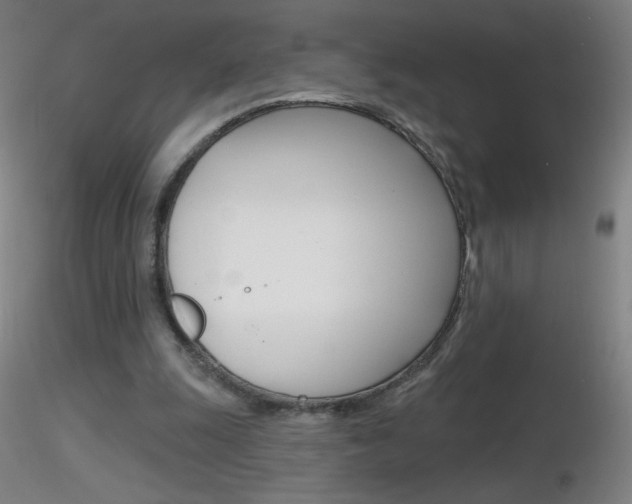 X0000116790247200912181101