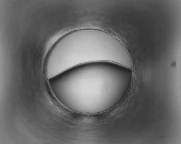 X0000116790248200912181101