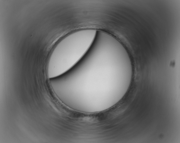 X0000116790251200912181101
