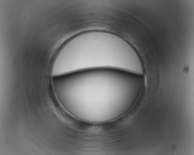 X0000116790252200912181101