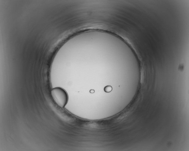X0000116790253200912181101