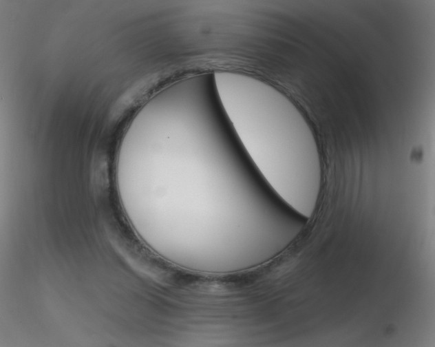 X0000116790254200912181101