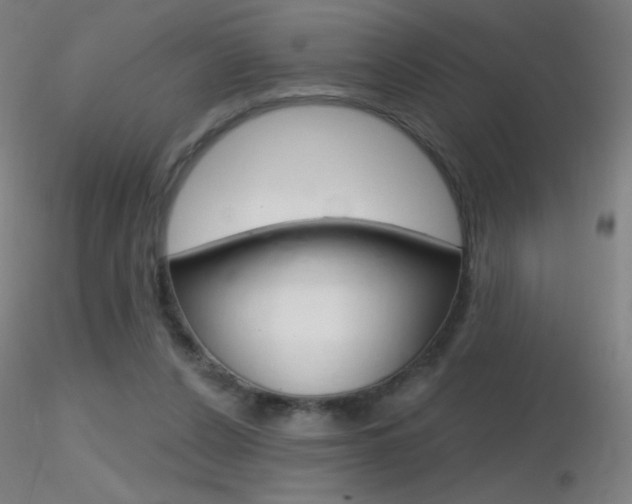 X0000116790256200912181101