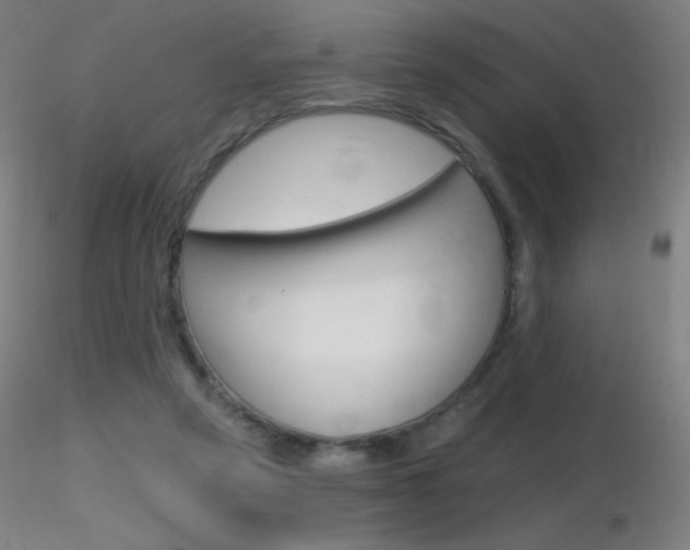 X0000116790257200912181101