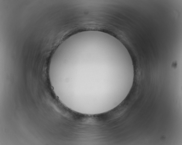 X0000116790259200912181101