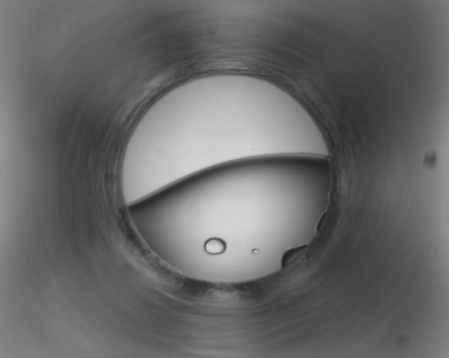 X0000116790260200912181101