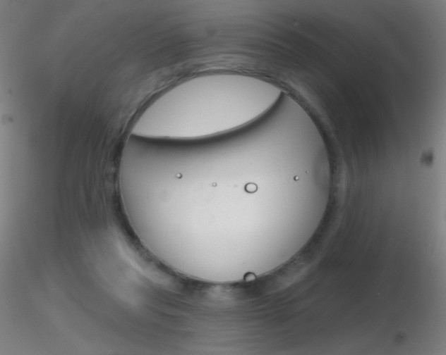 X0000116790261200912181101