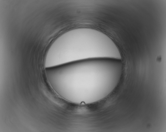 X0000116790262200912181101