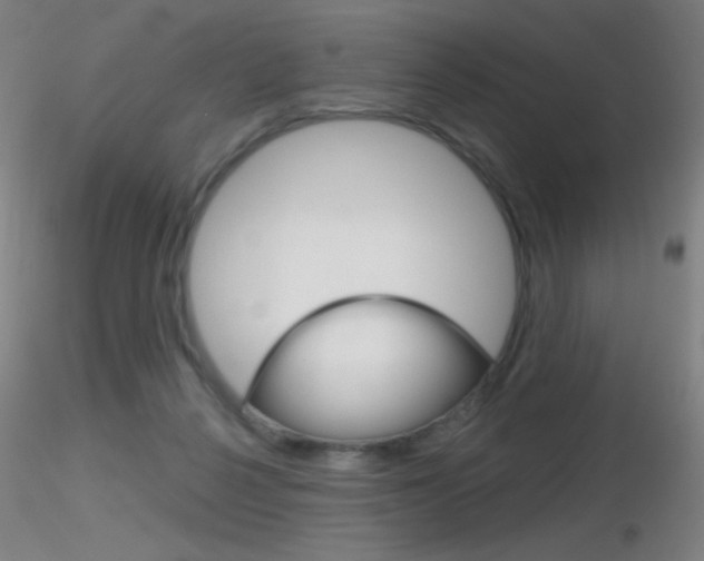X0000116790264200912181101