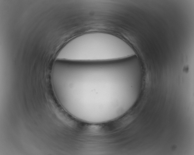 X0000116790265200912181101