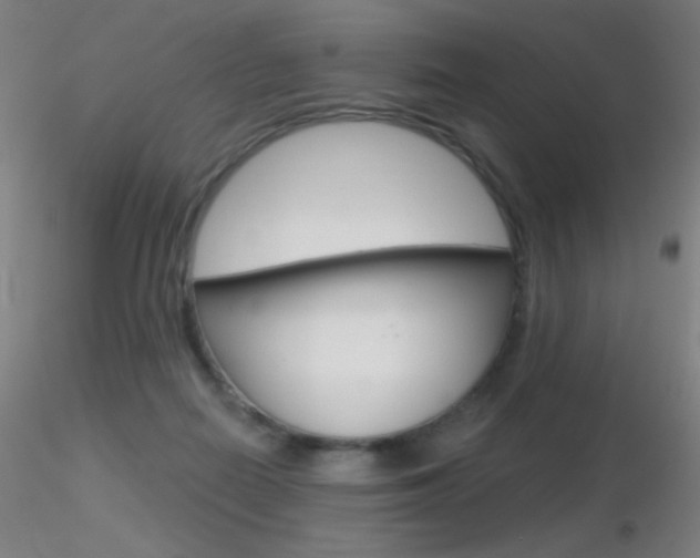 X0000116790266200912181101