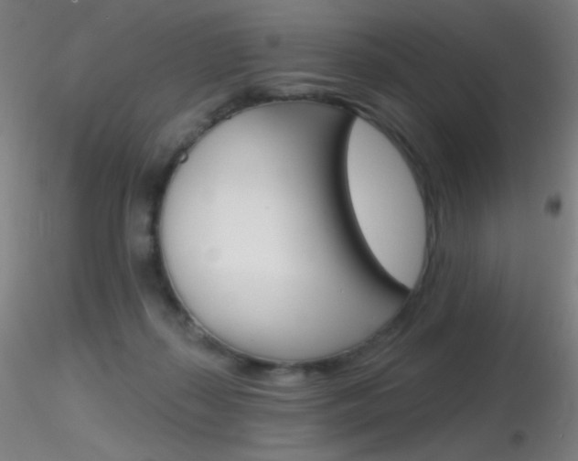 X0000116790267200912181101
