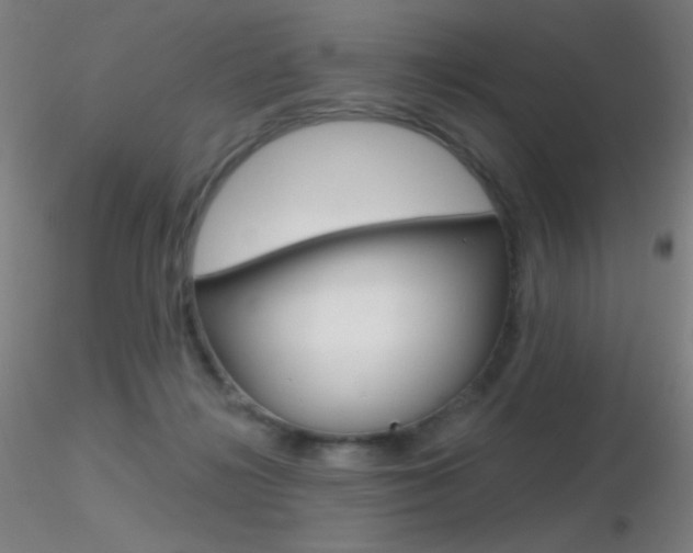 X0000116790268200912181101