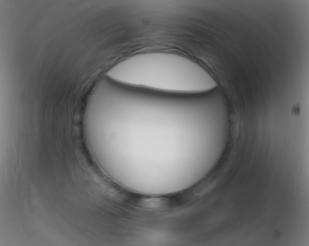 X0000116790269200912181101