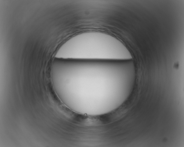 X0000116790270200912181101