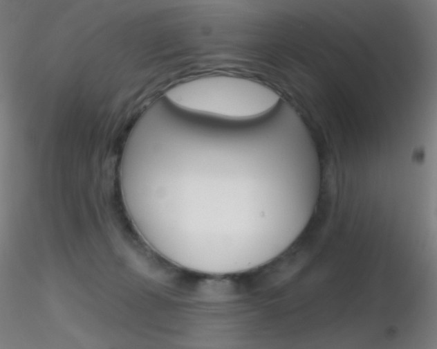 X0000116790271200912181101