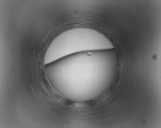 X0000116790272200912181101